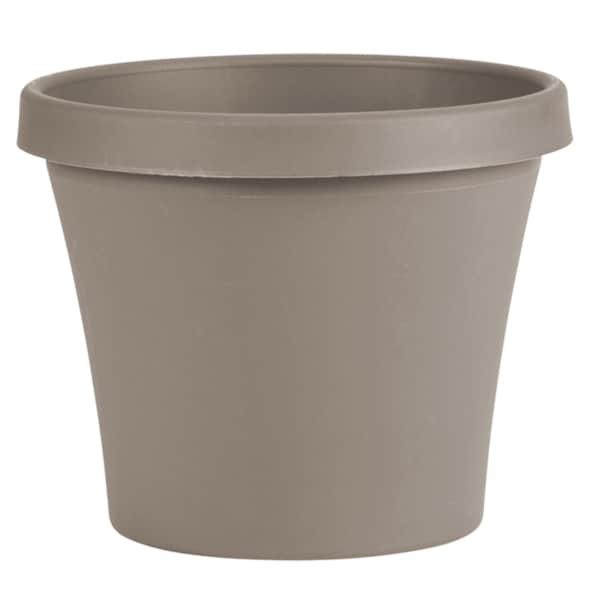 Bloem Bloem Terra 7.25 in. H X 8.75 in. W X 6 in. D Resin Traditional Planter Pebble Stone TR0883 - main